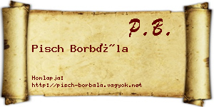 Pisch Borbála névjegykártya